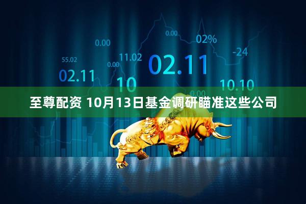 至尊配资 10月13日基金调研瞄准这些公司