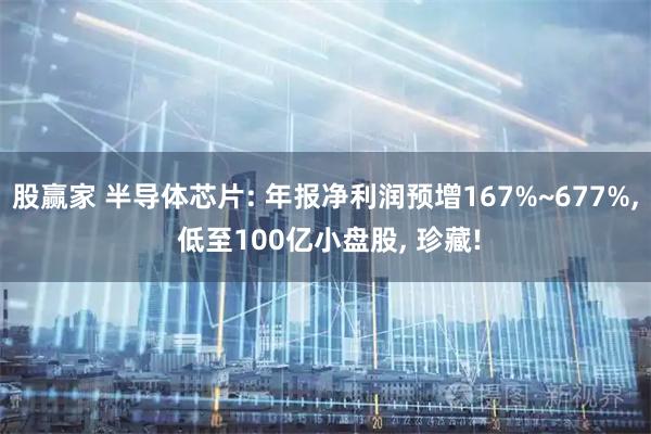 股赢家 半导体芯片: 年报净利润预增167%~677%, 低至100亿小盘股, 珍藏!