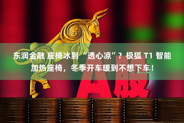东润金融 座椅冰到 “透心凉”？极狐 T1 智能加热座椅，冬季开车暖到不想下车！