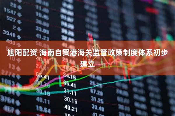 旭阳配资 海南自贸港海关监管政策制度体系初步建立