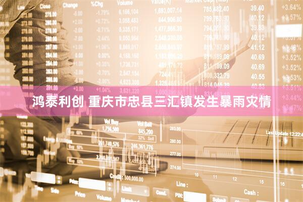 鸿泰利创 重庆市忠县三汇镇发生暴雨灾情