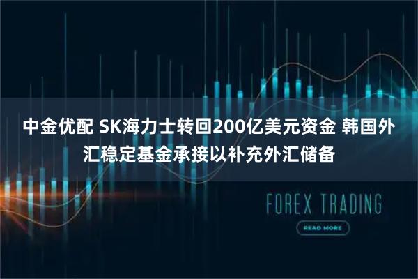中金优配 SK海力士转回200亿美元资金 韩国外汇稳定基金承接以补充外汇储备